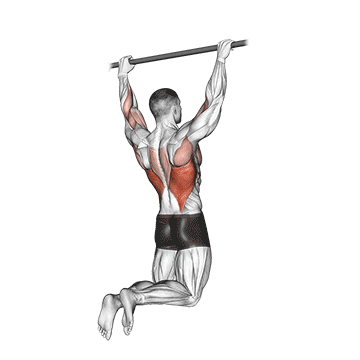 rear pull-up demonstration