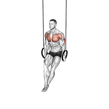 ring dips demonstration