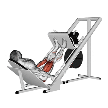 sled 45в° leg press