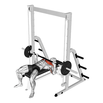 smith bench press
