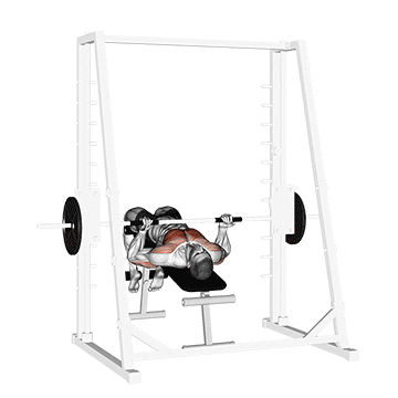 smith decline reverse-grip press