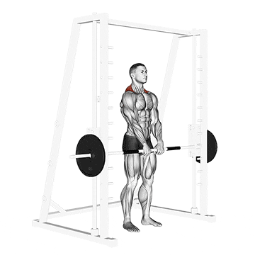 smith shrug