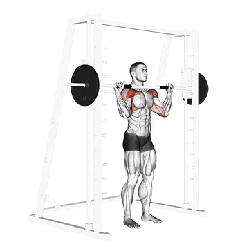 smith standing military press demonstration