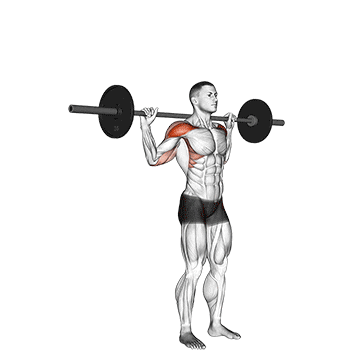 standing behind neck press demonstration