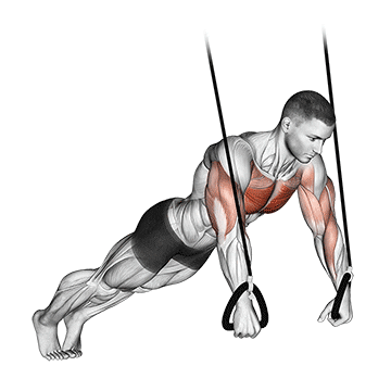 suspended push-up demonstration