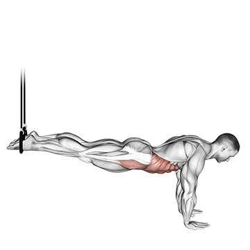 suspended reverse crunch demonstration