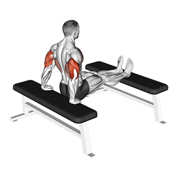 triceps dip (bench leg) demonstration