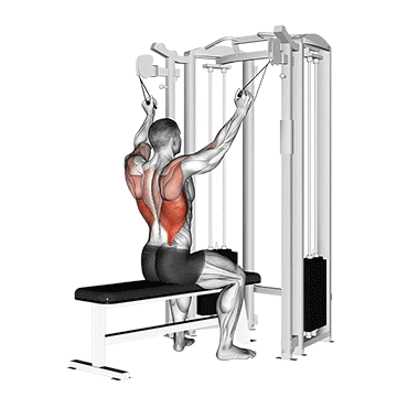 twin handle parallel grip lat pulldown demonstration