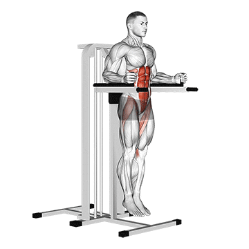 vertical leg raise (on parallel bars) demonstration