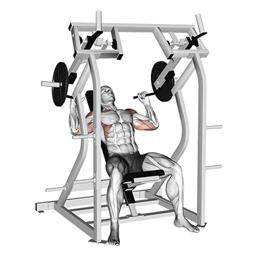 lever shoulder press  v. 2 demonstration
