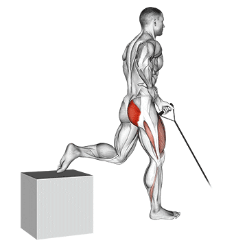 band one arm single leg split squat