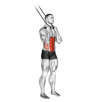 band standing crunch demonstration