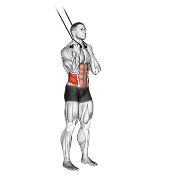 band standing twisting crunch demonstration