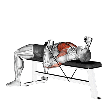 band bench press demonstration