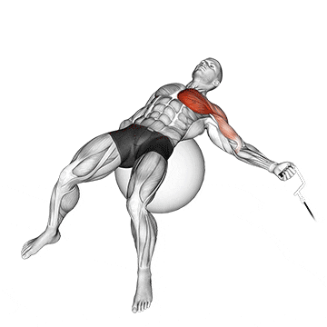 cable one arm fly on exercise ball demonstration