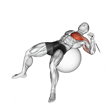 cable one arm press on exercise ball demonstration