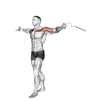 cable upper chest crossovers demonstration