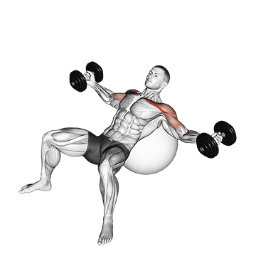 dumbbell incline fly on exercise ball demonstration