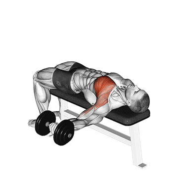 dumbbell one arm bench fly demonstration