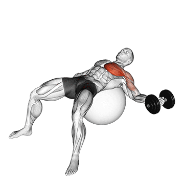 dumbbell one arm chest fly on exercise ball demonstration