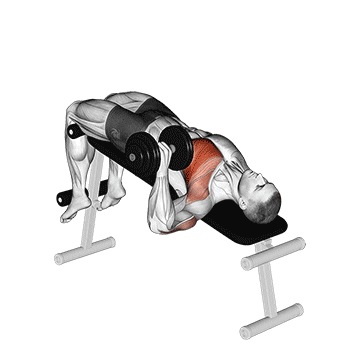 dumbbell one arm decline chest press demonstration