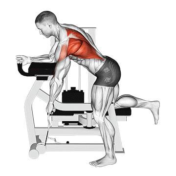 lever unilateral row demonstration