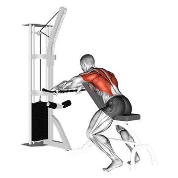 cable incline bench row demonstration