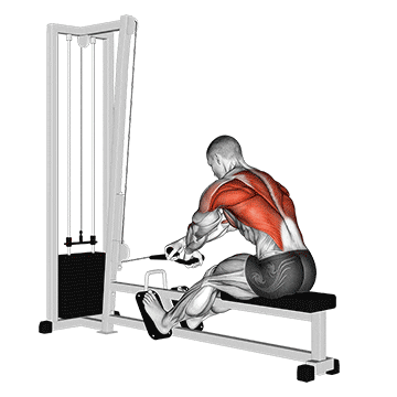 cable rope crossover seated row demonstration