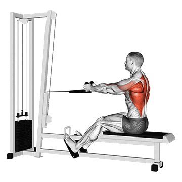cable rope seated row demonstration