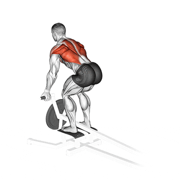 lever t-bar reverse grip row demonstration