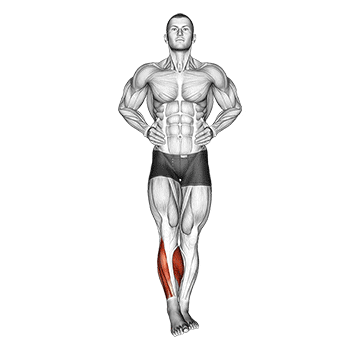 ankle circles