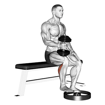 dumbbell seated one leg calf raise - hammer grip demonstration