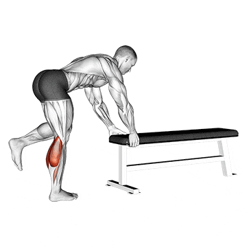one leg donkey calf raise demonstration