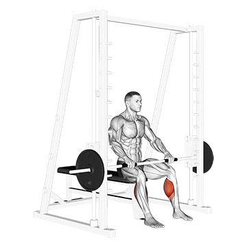 smith toe raise demonstration