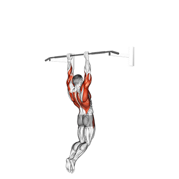 muscle-up (on vertical bar) demonstration