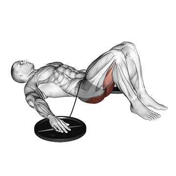 band hip lift demonstration