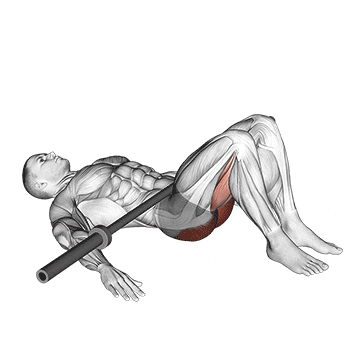 barbell glute bridge demonstration