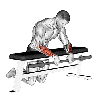 barbell palms down wrist curl over a bench demonstration