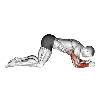 modified push up to lower arms demonstration