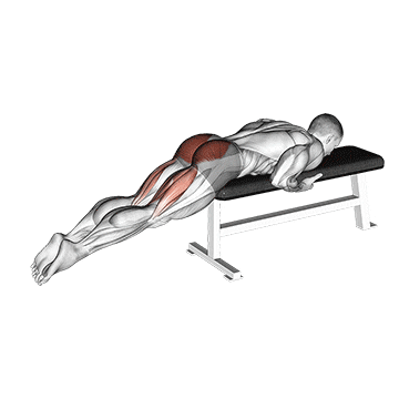 reverse hyper on flat bench demonstration