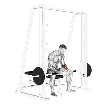 smith seated wrist curl demonstration