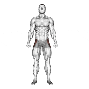 straight leg outer hip abductor