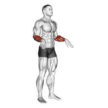 wrist circles demonstration