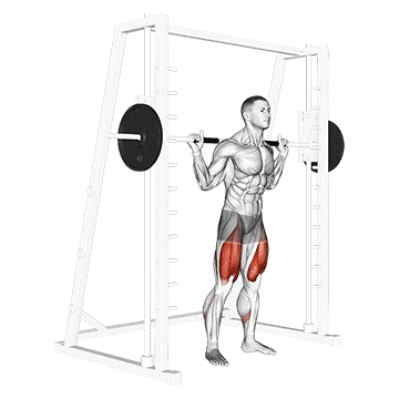 smith low bar squat demonstration
