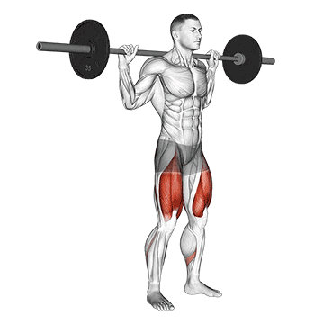 barbell high bar squat demonstration