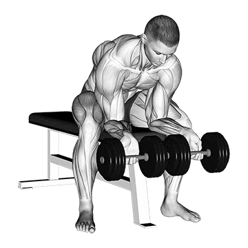 dumbbell finger curls demonstration