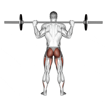 barbell full squat (back pov) demonstration