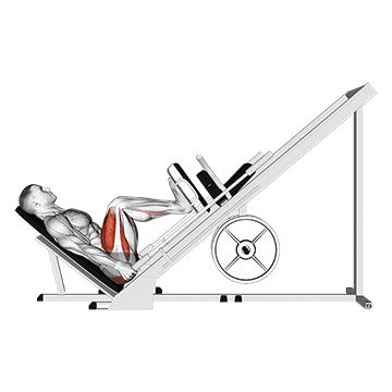 sled 45в° leg press (side pov)