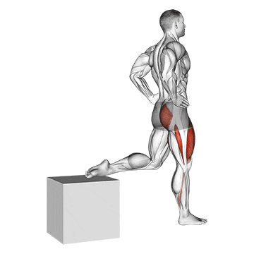 one leg squat demonstration