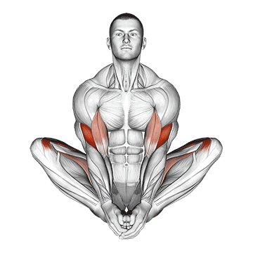 butterfly yoga pose